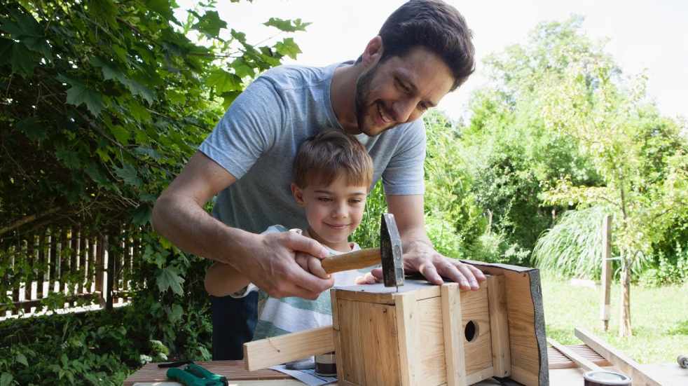 Father and son making bird house